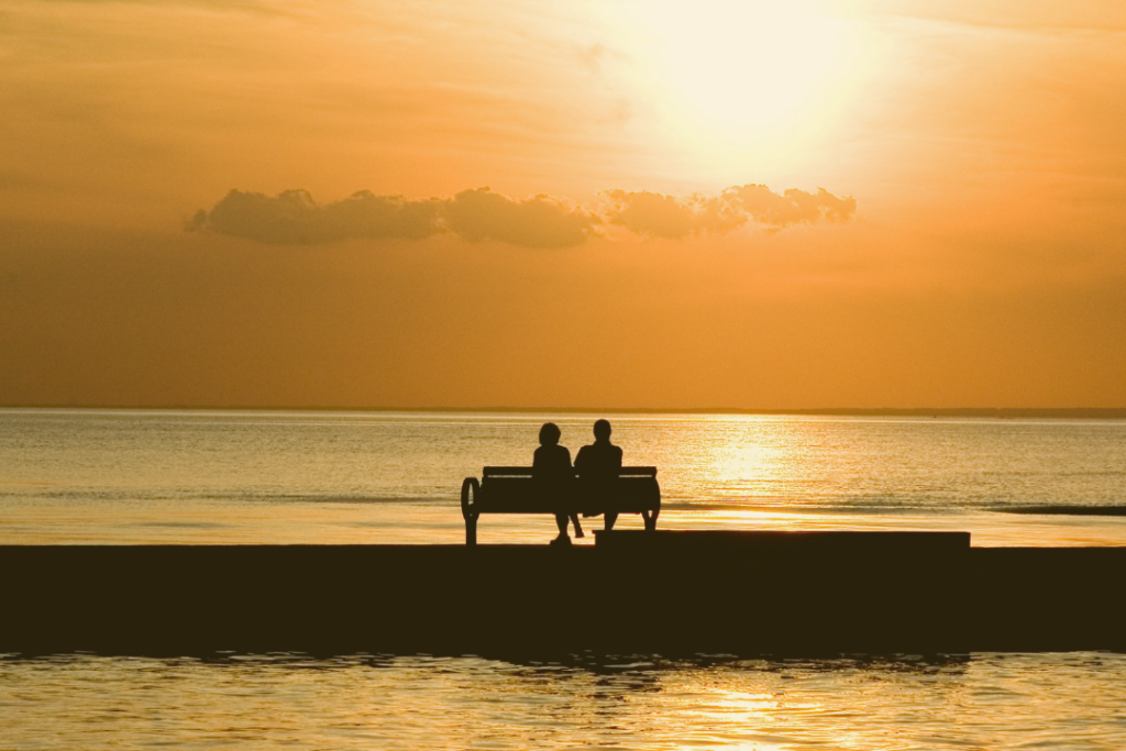 Silhouette of a couple watching the sun set on the water